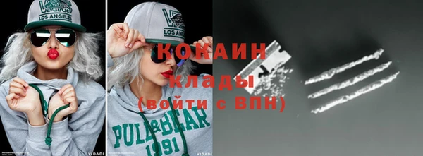 ешки Инта