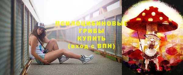 ешки Инта