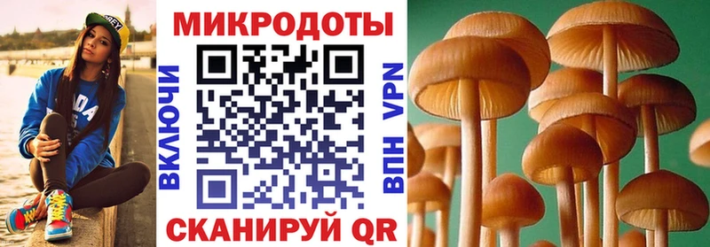 Псилоцибиновые грибы MAGIC MUSHROOMS  закладка  Кумертау 