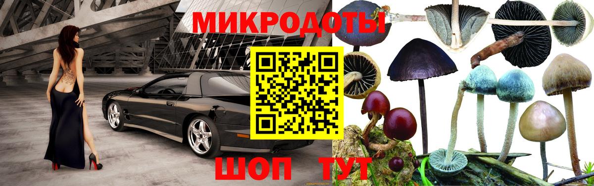 Галлюциногенные грибы Cubensis  Вход с VPN  Кумертау 